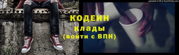 крисы Абаза