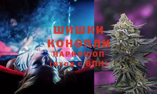 шишки Абинск