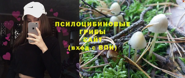 крисы Абаза