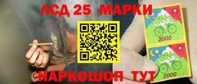 стаф Малгобек