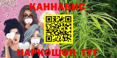 стаф Малгобек
