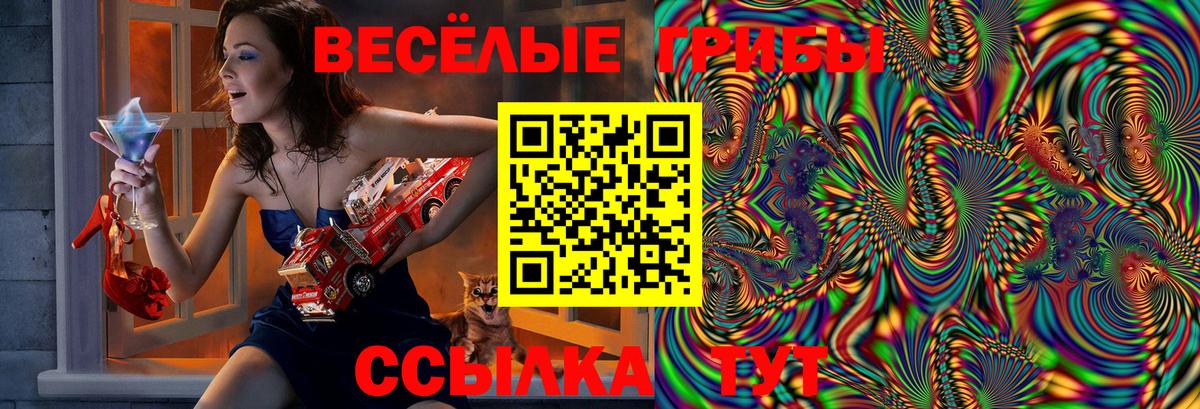 Псилоцибиновые грибы MAGIC MUSHROOMS  Галлюциногенные грибы мицелий  где найти наркотики  Вход с VPN  Великий Новгород 